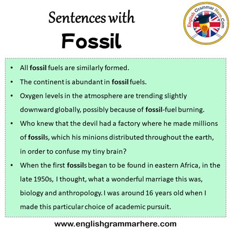 fossil sentence